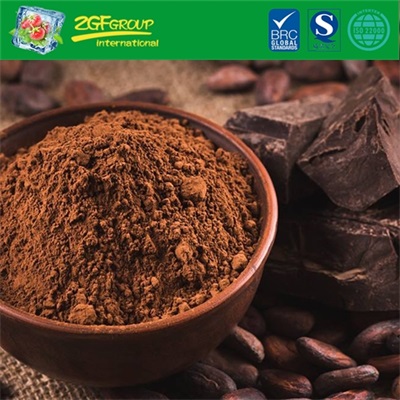 High Quality Cocoa Powder