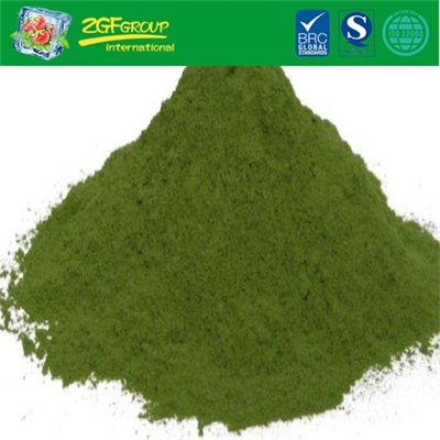 Good Grade Instant Spinach Drink Powder