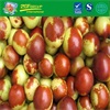 HOT SELLING IN WINTER  Dried Crisp Winter Jujuba
