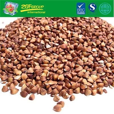 HOT SALE Chinese Roasted Buckwheat