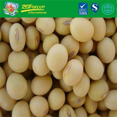 Good Grade New Crop Dry Yellow Soybeans