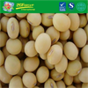 Good Grade New Crop Dry Yellow Soybeans