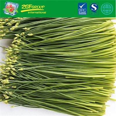 2019 Frozen Chinese-Leek Flower With Good Price
