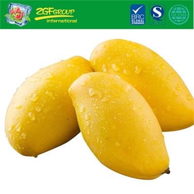 Fresh Sweet Mango With Good Price