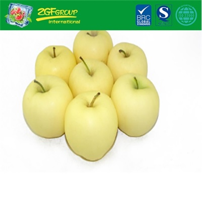 Fresh Golden Delicious Apple For Sale