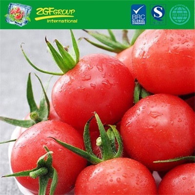 Fresh Cherry Tomatoes Have Good Taste