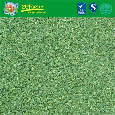IQF Frozen Chopped Parsley