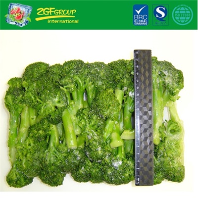 Good Grade BQF Broccoli