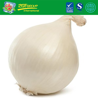 Fresh Onion With Cheap Price