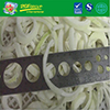 Top Quality IQF Frozen Sliced White Onion