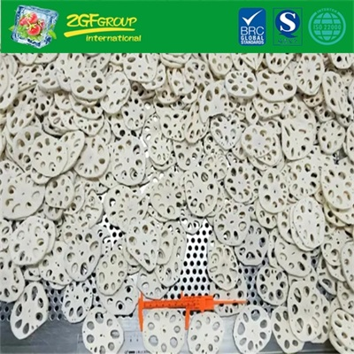 IQF Sliced Lotus Root/High Quality Frozen Sliced Lotus Root 5CM-6CM