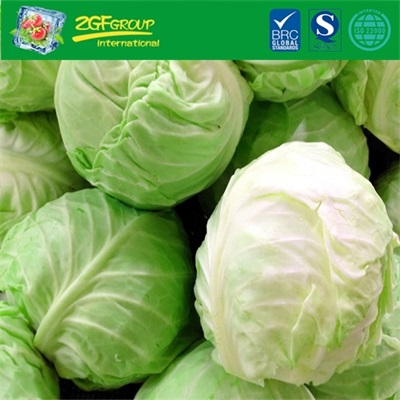 Grade A Fresh Cabbage For Sale
