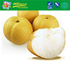 Fresh Rich Juice Fengshui Pear
