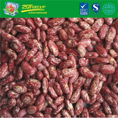 IQF Frozen Red Kidney Bean For Sale