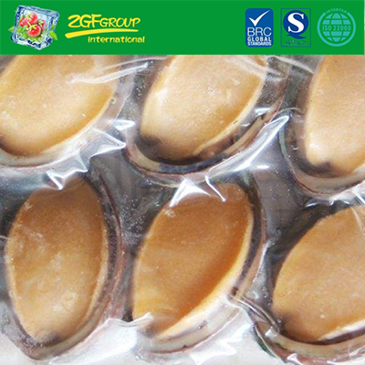 Frozen Instant Abalone Meat