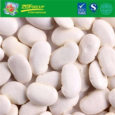 New Crop For Exporting Dry White Kidney Bean