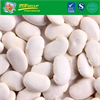 New Crop For Exporting Dry White Kidney Bean