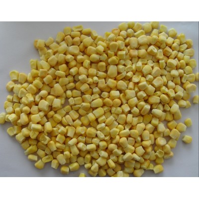 Good Quality IQF Sweet Corn Kernel