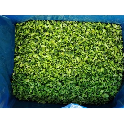 High quality IQF broccoli florets dia