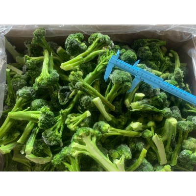 IQF Broccoli Florets long cut