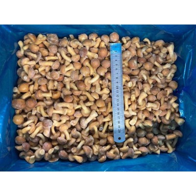 High Quality IQF Nameko Mushrooms