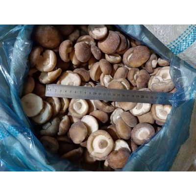 New Crop IQF whole Shiitake Mushroom
