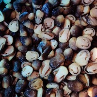 Frozen Half Cut Straw Mushroom